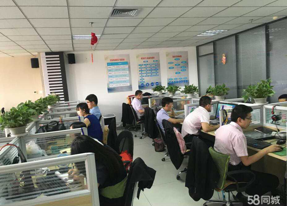 内蒙古小行家信息技术咨询 深耕草原的数字引路人