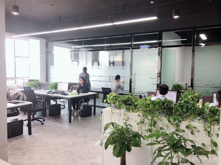 甘肃科德信息技术咨询 数字化浪潮中的区域智囊