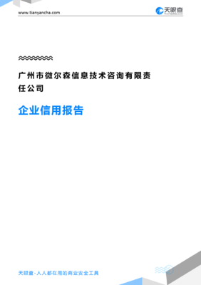 广州市微尔森信息技术咨询有限责任公司企业信用报告（天眼查版）