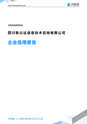 四川联众达信息技术咨询有限公司企业信用报告分析