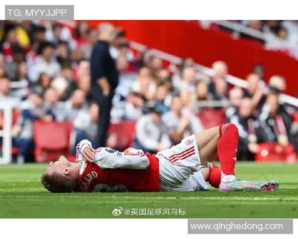 足球明星厄德高的成长之路与足球生涯精彩瞬间揭秘